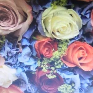 Meet your Posher, Jayson